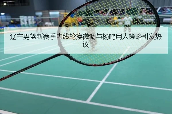 辽宁男篮新赛季内线轮换微调与杨鸣用人策略引发热议