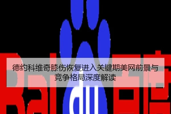 德约科维奇膝伤恢复进入关键期美网前景与竞争格局深度解读